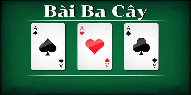 Bài 3 cây được nhiều hội viên tại Sin88 yêu thích